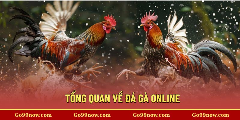 Tổng quan về đá gà online