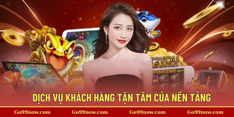 Trải nghiệm dịch vụ khách hàng tận tâm của nền tảng